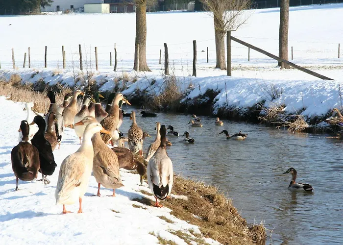 Im-muehlengrund דירה